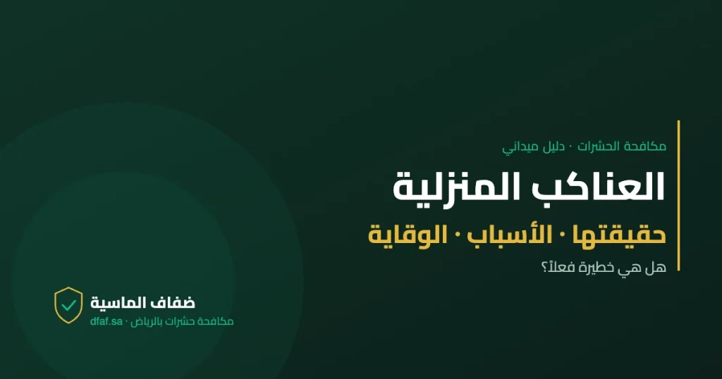 العناكب المنزلية — دليل مكافحة الحشرات | ضفاف الماسية
