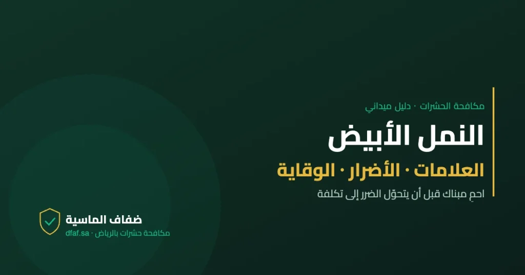النمل الأبيض — دليل مكافحة الحشرات | ضفاف الماسية