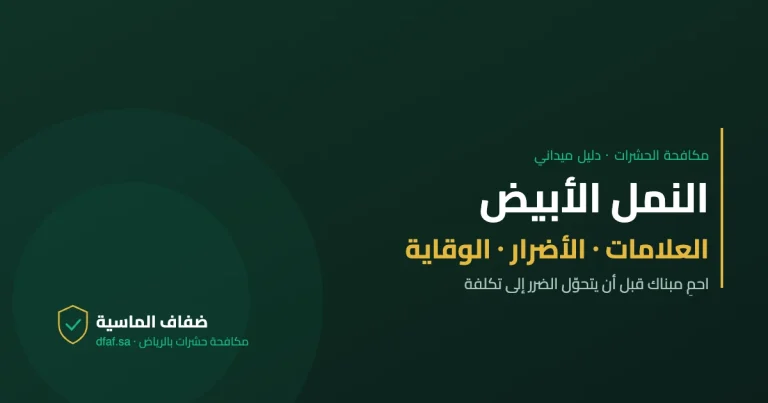 النمل الأبيض — دليل مكافحة الحشرات | ضفاف الماسية