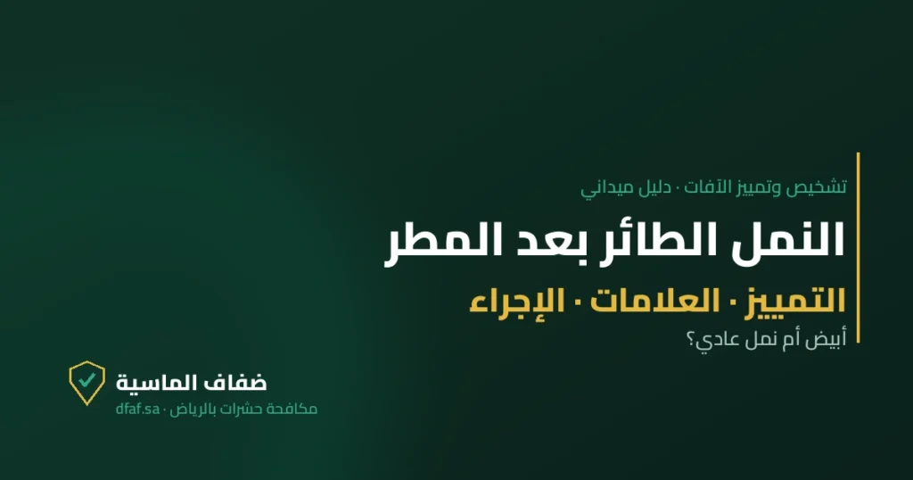 غلاف مقال النمل الطائر بعد المطر — ضفاف الماسية لمكافحة الحشرات بالرياض