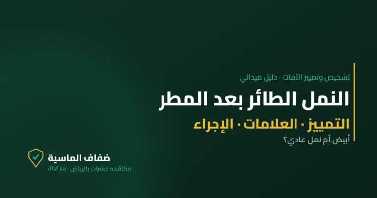 غلاف مقال النمل الطائر بعد المطر — ضفاف الماسية لمكافحة الحشرات بالرياض