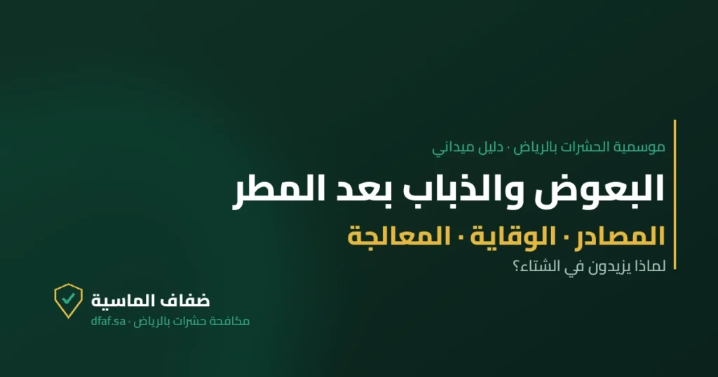 غلاف مقال البعوض والذباب بعد المطر — ضفاف الماسية لمكافحة الحشرات بالرياض