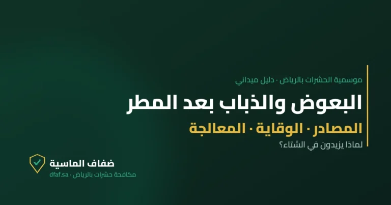 غلاف مقال البعوض والذباب بعد المطر — ضفاف الماسية لمكافحة الحشرات بالرياض